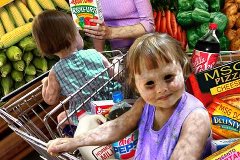 STOP CODEX GMO NWO